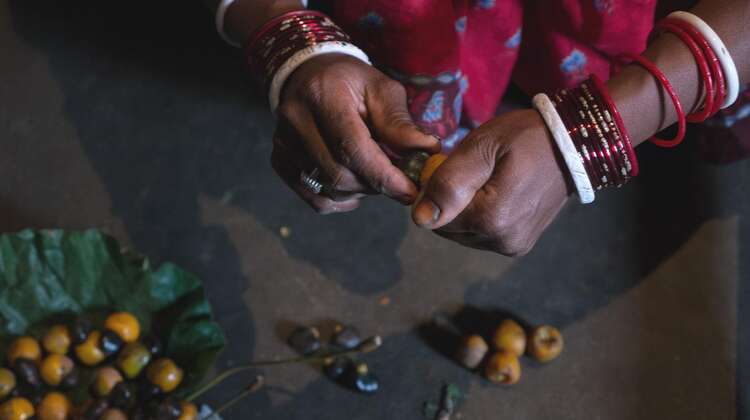 Hände entkernen Früchte