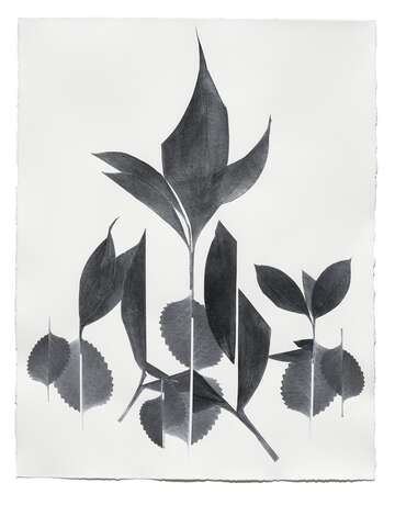 Papiercollage von Frauke Dannert: Gloriette, 2018