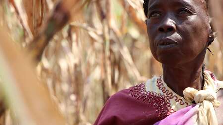 Suedsudan Projekte Nyamlell South Sudan Nymlal projects