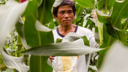 Mann steht in einem Feld