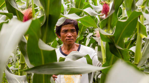 Mann steht in einem Feld