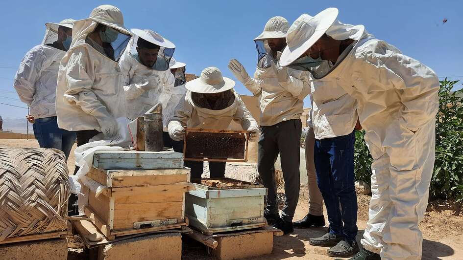 Menschen in Imker-Schutzkleidung stehen um Holzkisten herum. Darin befinden sich vermutlich Bienen.