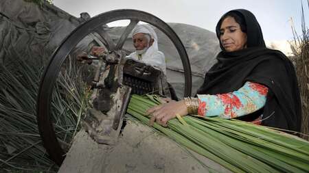 Sichere Lebensgrundlagen schaffen
