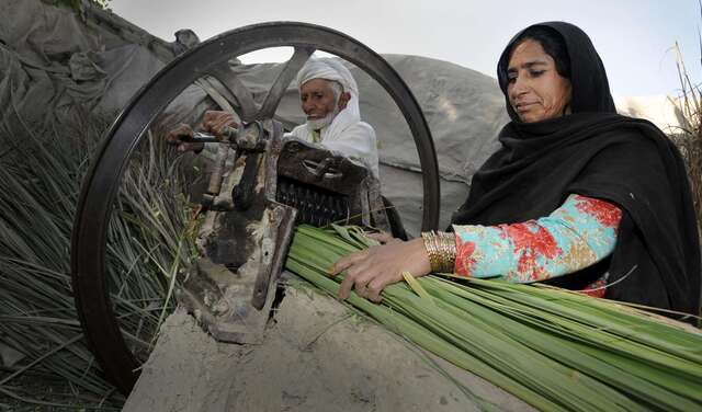 Sichere Lebensgrundlagen schaffen