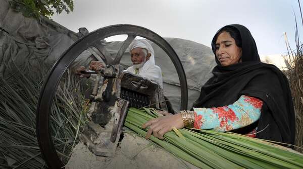 Sichere Lebensgrundlagen schaffen