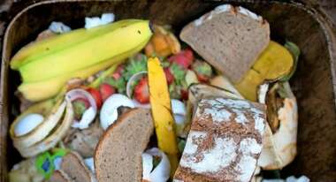 Abbildung von Lebensmitteln wie Bananen und Brot in einer Mülltonne. Zahlreiche Lebensmittel landen täglich im Müll. Es reicht mit der Lebensmittelverschwendung!