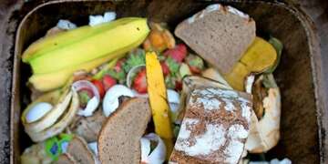 Abbildung von Lebensmitteln wie Bananen und Brot in einer Mülltonne. Zahlreiche Lebensmittel landen täglich im Müll. Es reicht mit der Lebensmittelverschwendung!