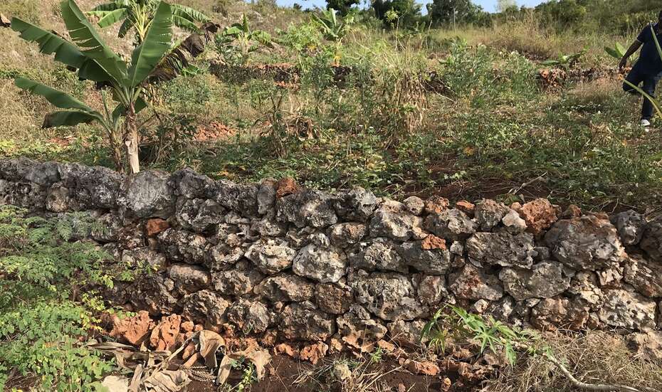 Eine Steinmauer zum Erosionsschutz vor einem Feld.
