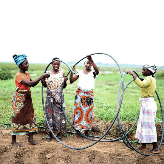 vier Frauen verlegen Schläuche zur Bewässerung eines Feldes