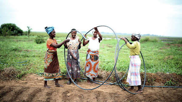vier Frauen verlegen Schläuche zur Bewässerung eines Feldes