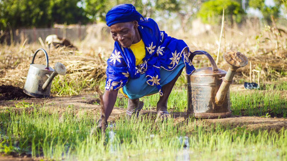Eine Frau in blauer Kleidung hockt auf einem Feld und kümmert sich um junge Pflanzen. Neben ihr stehen zwei Gießkannen aus Metall. 
