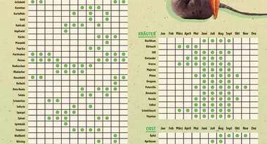 Saisonkalender gegen Lebensmittelverschwendung
