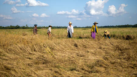 Feldarbeit in Myanmar