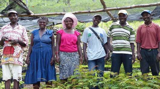 Sechs Menschen stehen in einer Reihe, vor ihnen viele Setzlinge.