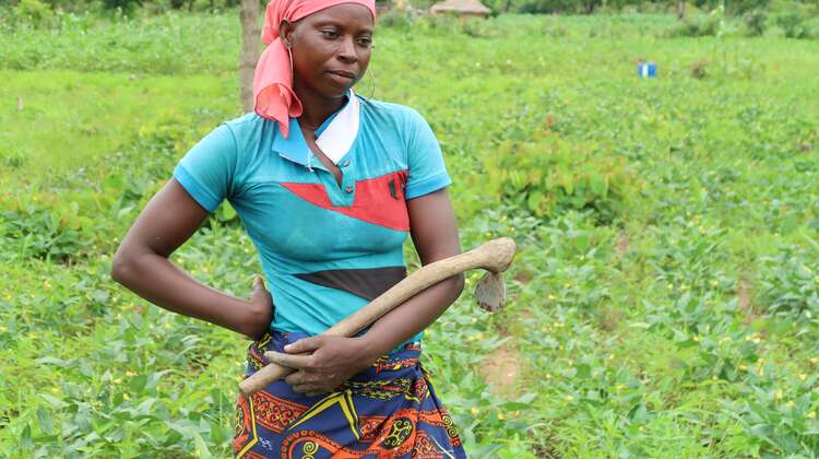 Frau auf einem Feld, auf dem Hülsenfrüchte wachsen