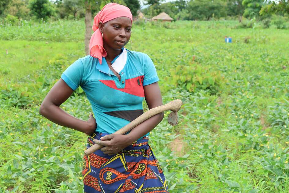 Frau auf einem Feld, auf dem Hülsenfrüchte wachsen