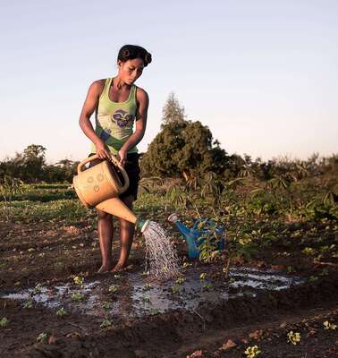Eine Frau wässert ein Feld in Tulear/Madagaskar