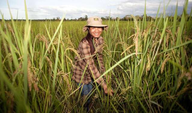 Bäuerin bei Feldarbeit