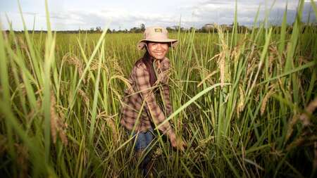 Bäuerin bei Feldarbeit