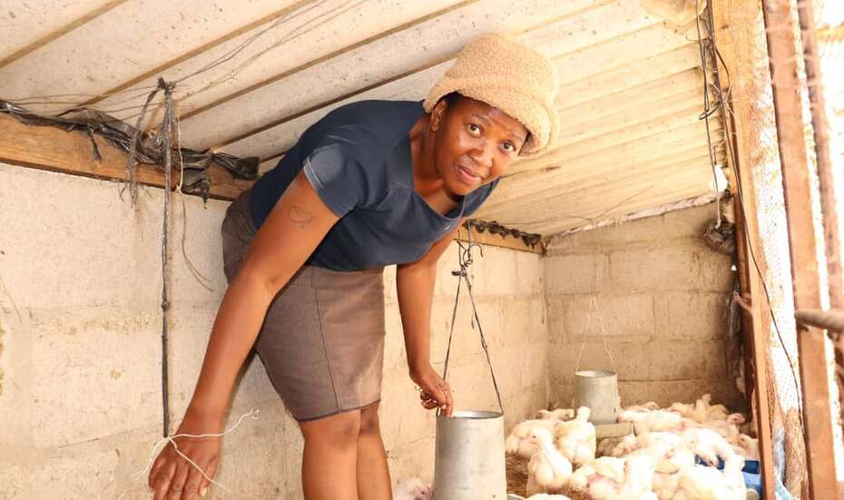 Eine Frau arbeitet in einem Hühnerstall, der im Rahmen von Entwicklungszusammenarbeit finanziert wurde.