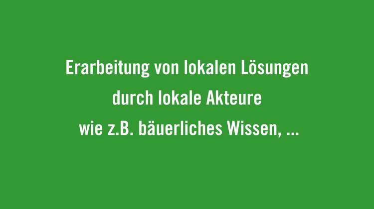 Lokale(n) und regionale(n) Produktion, Konsum und Vermarktung von Lebensmitteln fördern