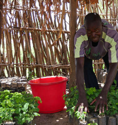 Ein Mann beim Pflanzen-Anbau, Malawi, 2017.