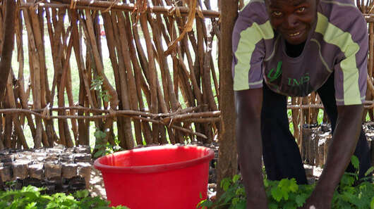 Ein Mann beim Pflanzen-Anbau, Malawi, 2017.
