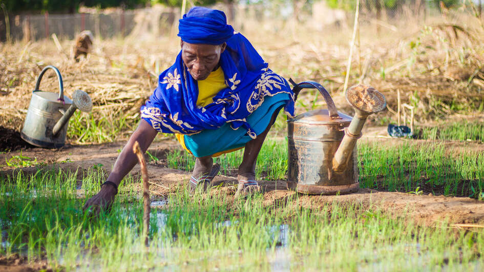 Eine Kleinbäuerin auf dem Feld in Burkina Faso. 