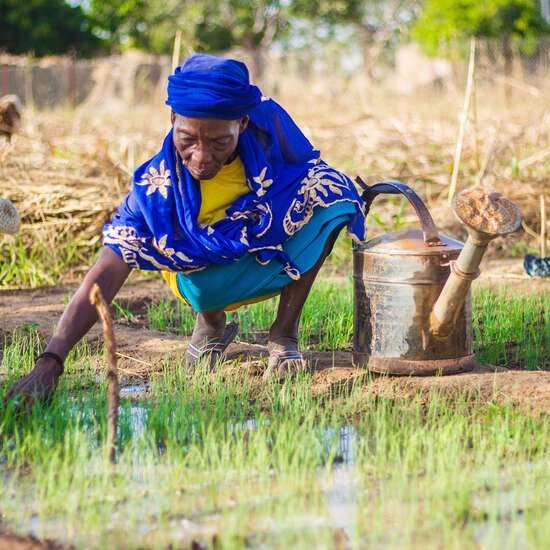 Eine Kleinbäuerin auf dem Feld in Burkina Faso. 