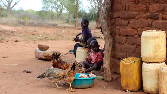 Spenden zu Weihnachten. Bildbeschreibung: Drei Kinder sitzen mit Hühnern vor einem Haus.