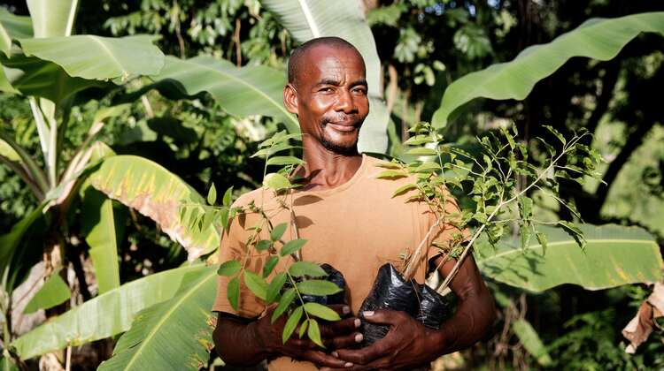 Ein Bauer aus Haiti mit Baumsetzlingen in den Händen
