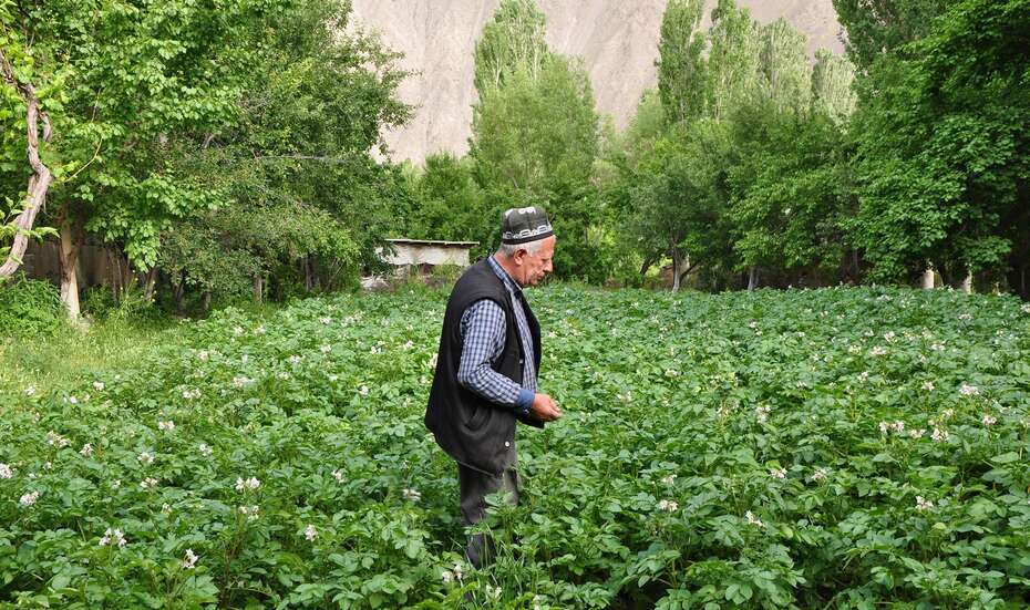 Azim Choragabov (65) in seinem Garten in Pokhut, Nord-Tadschikistan.