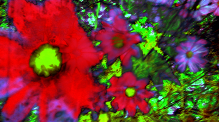 Pigmentdruck auf Leinwand von Annelies Štrba: Nyima 528, 2012