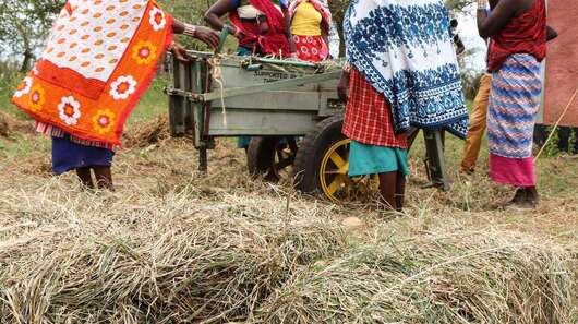 Neues Leben in Zeiten des Klimawandels