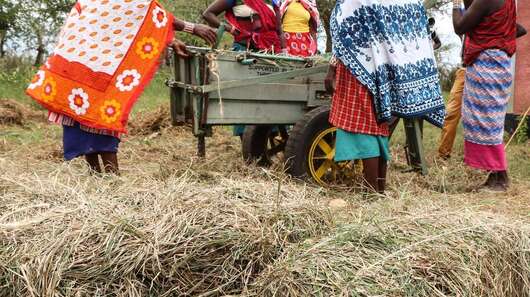 Neues Leben in Zeiten des Klimawandels