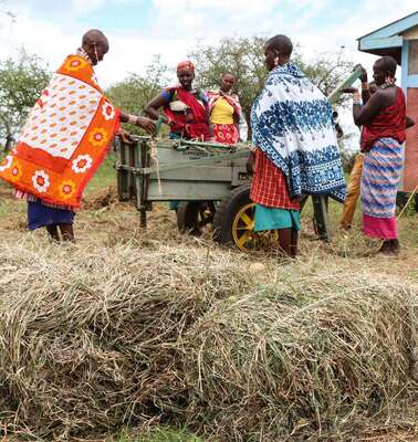 Neues Leben in Zeiten des Klimawandels