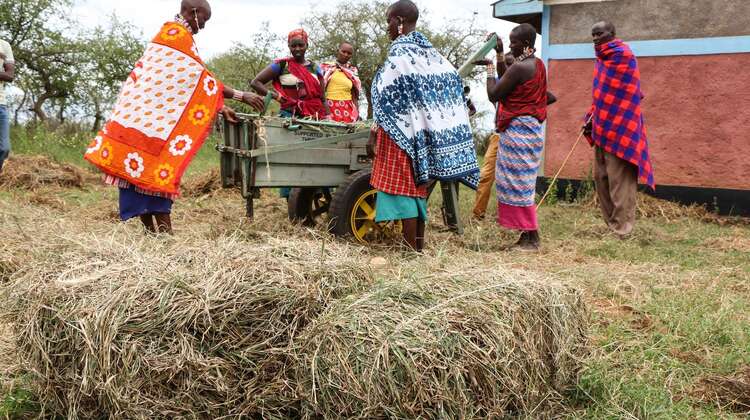 Neues Leben in Zeiten des Klimawandels