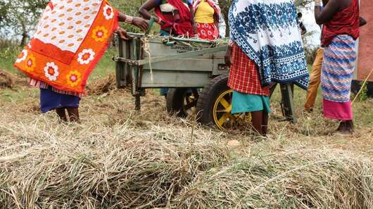 Neues Leben in Zeiten des Klimawandels