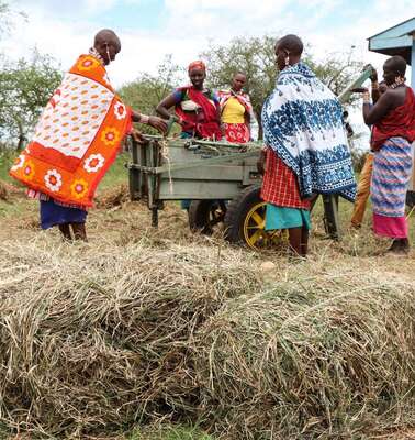 Neues Leben in Zeiten des Klimawandels