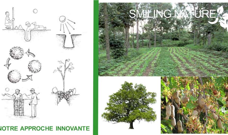 Illustration und Foto einer grün bewachsenen Anbaufläche