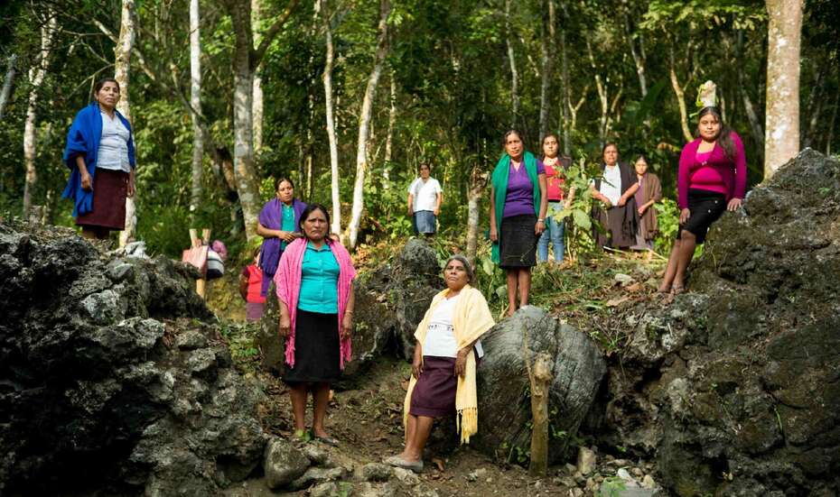 Aufforstung um dem Klimawandel in Mexiko entgegenzuwirken