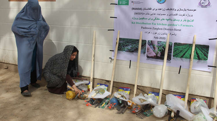 2021-afghanistan-safran-verteilung-samen-und-werkzeug.jpg Zwei Frauen vor einer Verteilungsstelle, wo es Werkzeug für den Anbau von Safran gibt, Afghanistan, 2021.
