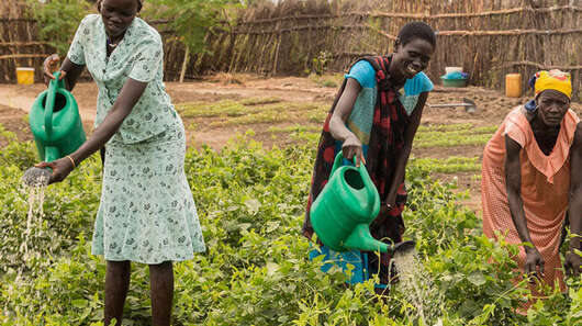 Frauen bewässern ein Feld, Südsudan, 2017.