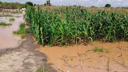 Ein überfluteter Acker