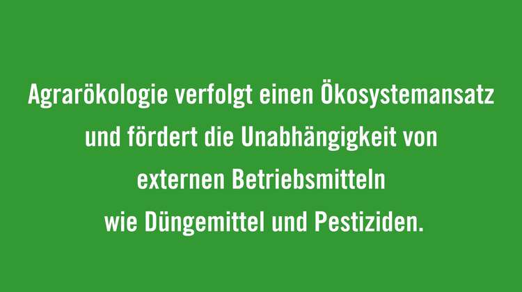 Agrarökologie verfolgt einen Ökosystemansatz und fördert die Unabhängigkeit von externen Betriebsmitteln wie Düngemittel und Pestiziden