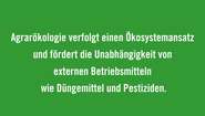 Agrarökologie verfolgt einen Ökosystemansatz und fördert die Unabhängigkeit von externen Betriebsmitteln wie Düngemittel und Pestiziden