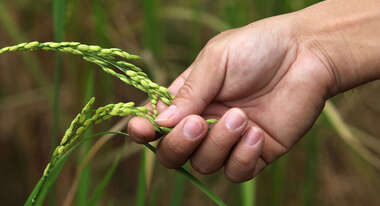Kambodscha November 2013 Cambodia November 2013
