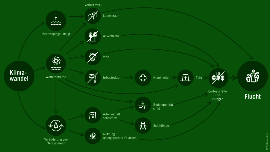 Infografik: Klimawandel befördert Fluchtbewegungen
