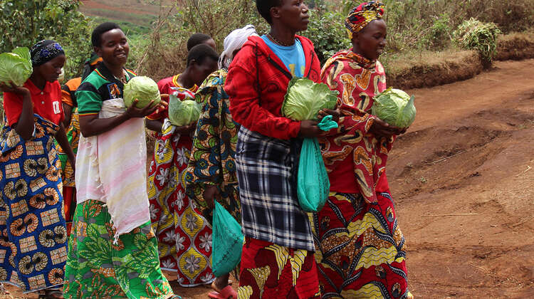 Auf dem Weg zu Zero Hunger