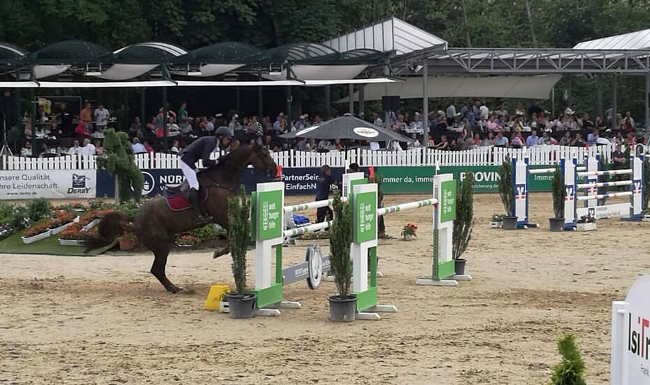 Ein Reiter springt mit seinem Pferd über ein Hindernis mit dem Welthungerhilfe-Logo